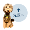 先頭へ戻る